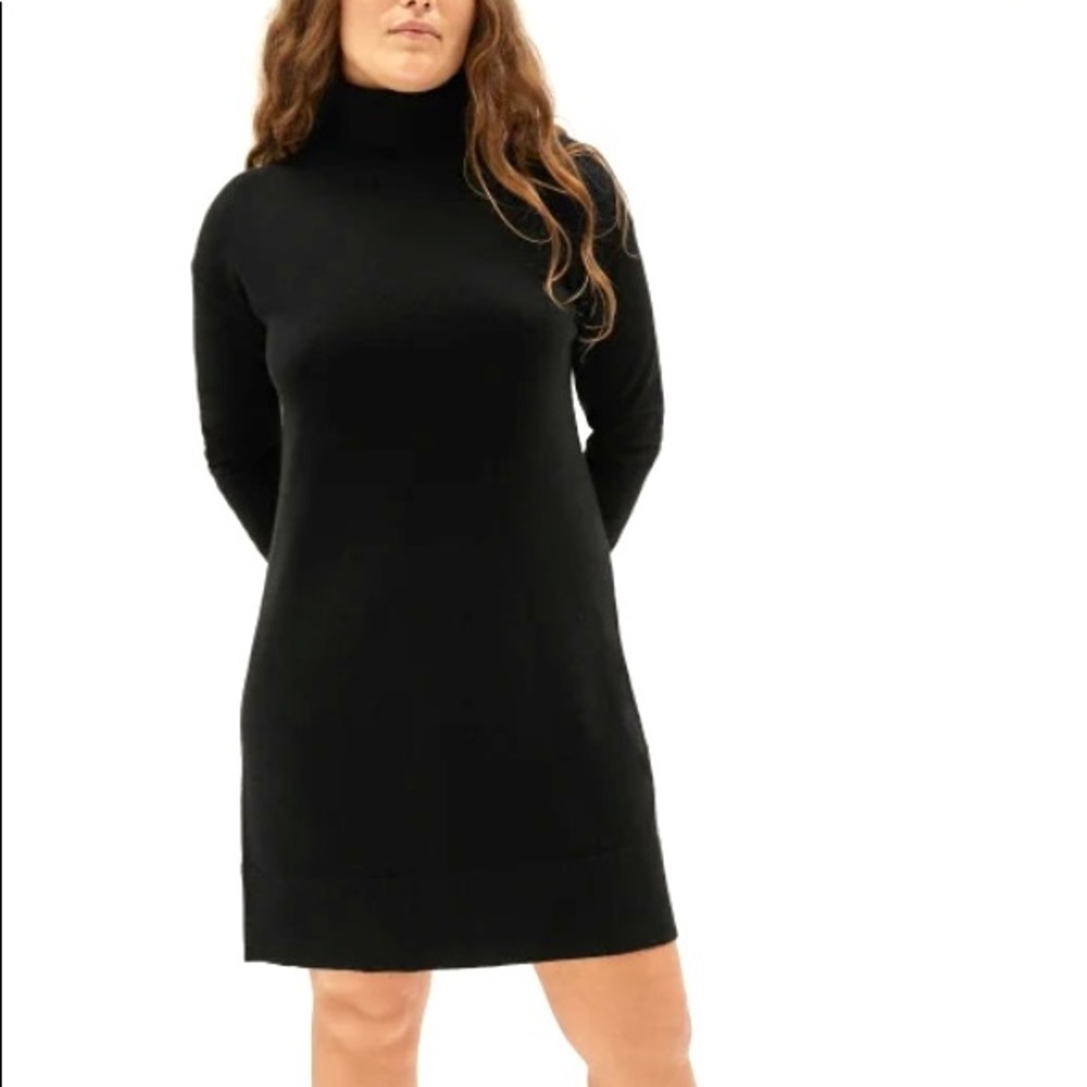 Everlane Cashmere Turtleneck Dress XXS